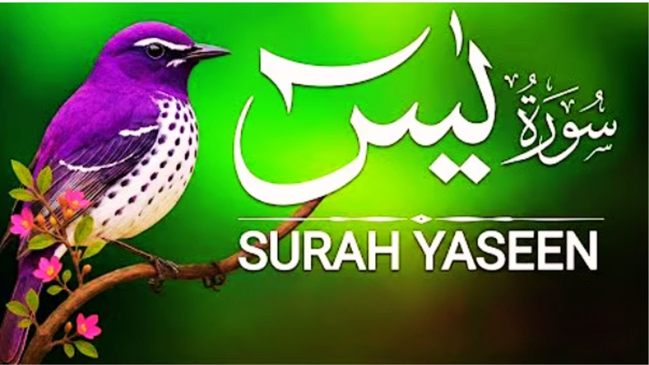 Surah Yaseen Full | Emotional & Heart Touching Tilawat