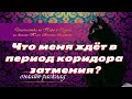 "Что меня ждёт в период коридора затмения, 30.11.2020 - 14.12.2020" ? Таро. Расклад на Таро.