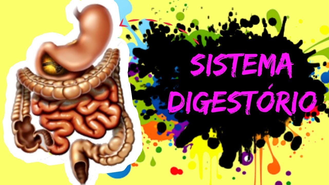 AULA 18: SISTEMA DIGESTÓRIO