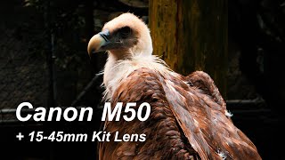 Canon M50 + 15-45mm Kit Lens Cinematic Video Test 4k