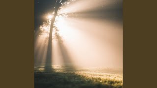 Gentle Hope Falling