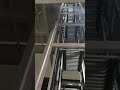 Live footage of continuous vertical lift in operation