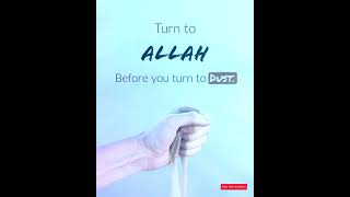 Turn to Allah | shorts | Islamic status | Best free recitation |