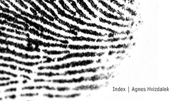 Agnes Hvizdalek - Index