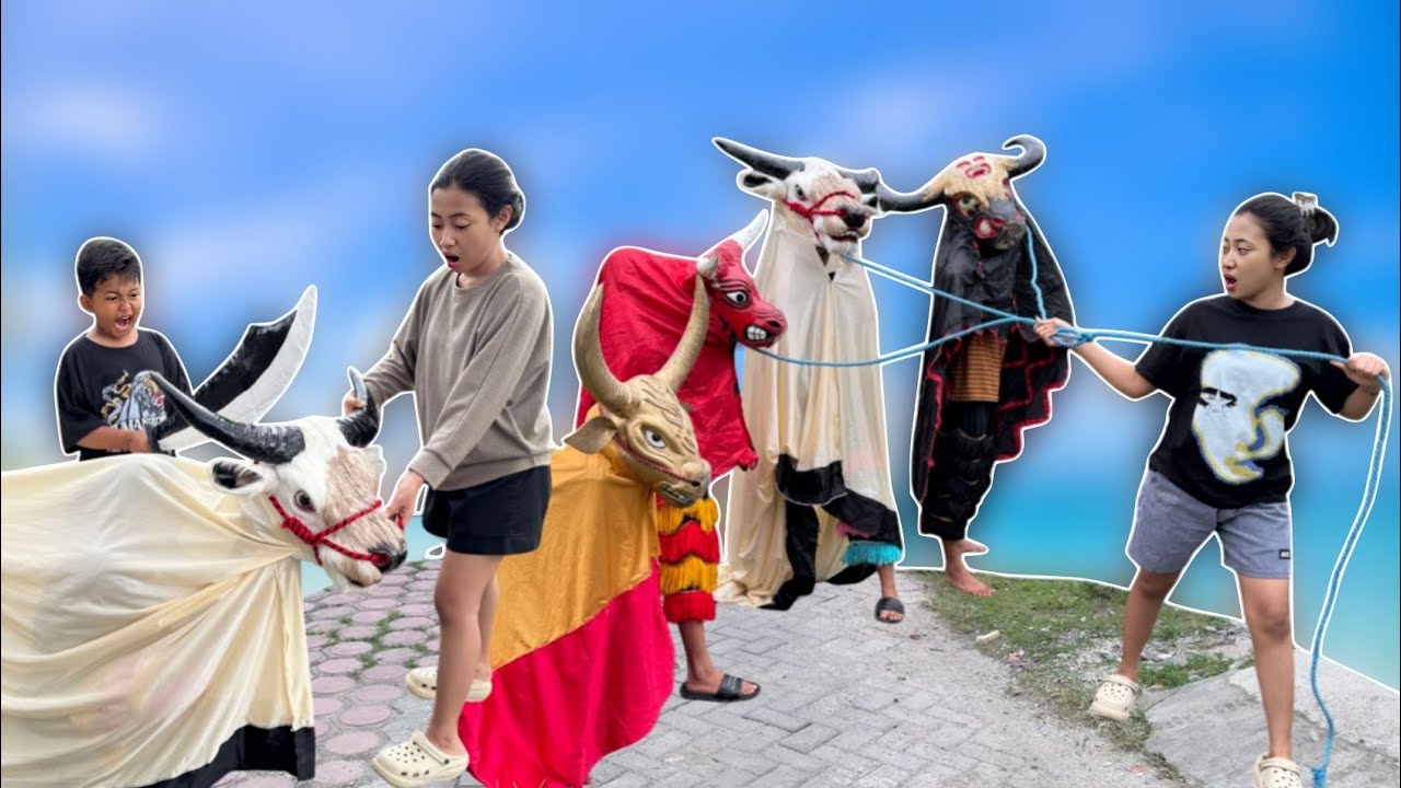 Drama lucu ngakak pool | INI KELANJUTAN VIDIO KEMARIN SAPI KURBAN NGAMUK 