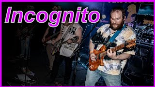 Incognito - David Delinquent and the IOUs