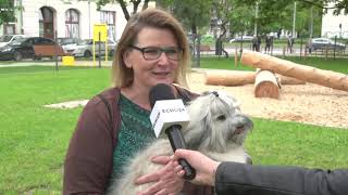 Wrocław. Psi wybieg w sercu Szczepina już otwarty