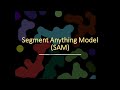 Object Segmentation- Point and Click!