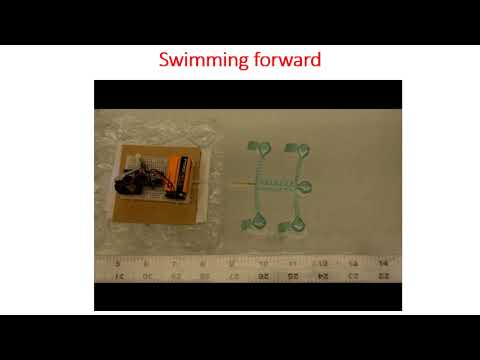 Soft swimming robot