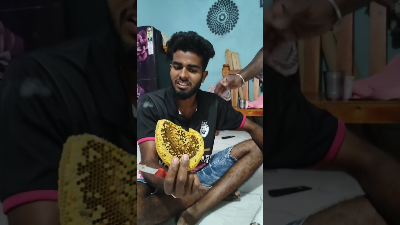 🍯தேன் வேட்டை 🤤🤤 