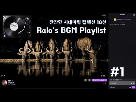 랄로 BGM 플레이리스트 코인차트 관망하기 좋은 잔잔한 시네마틱 음악 컬렉션 10선 1 Ralo S BGM Playlist 