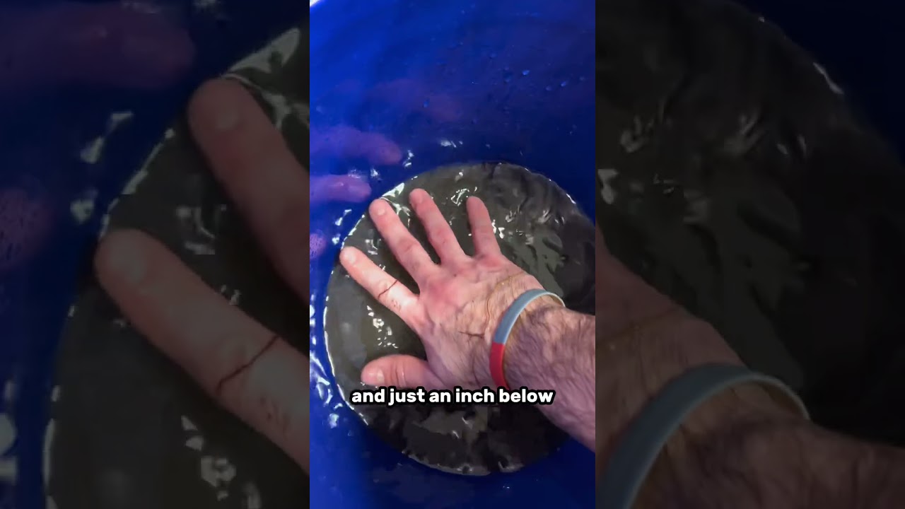 How to EASILY clean aquarium filters!