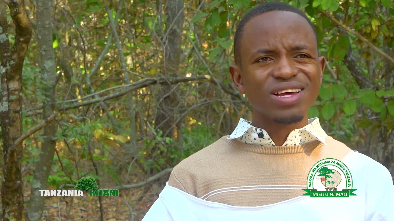 UVUNAJI WA SUMU YA NYUKI