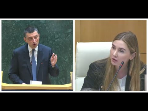 რაც არ უნდა ამოეფაროთ თეთრ ხალათს, სისხლიან ხელებს ვერ დამალავთ - ბოკუჩავა ა გახარიას