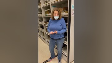 Introduction to VIMS