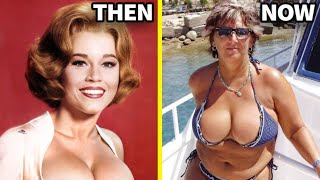 20 Most Beautiful Hollywood Actresses From the 1960s and Their Shocking Look Now