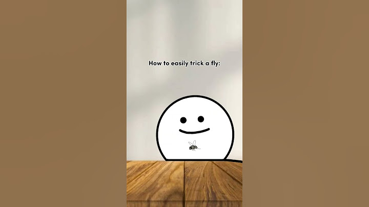 How to easily trick a fly