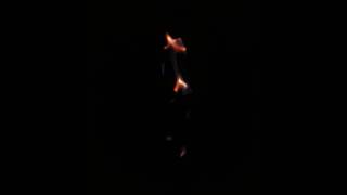 Pulsing flames