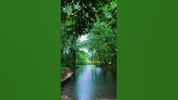 ايات خاشعة من سورة الملك #المصحف #اكسبلور #nature #لايك