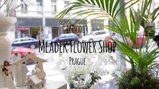 Download Lagu andhim - Playces - Episode 4 (Flower Shop, Prague) MP3 Download Lagu andhim - Playces - Episode 4 (Flower Shop, Prague) MP3