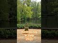 Koningsdag in Velp#shorts #velp