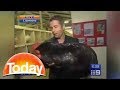 Reporter attacked by giant rooster  today show australia