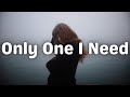 William Black - Only One I Need Ft. HALIENE &amp; Thomas Laurent (Lyrics)