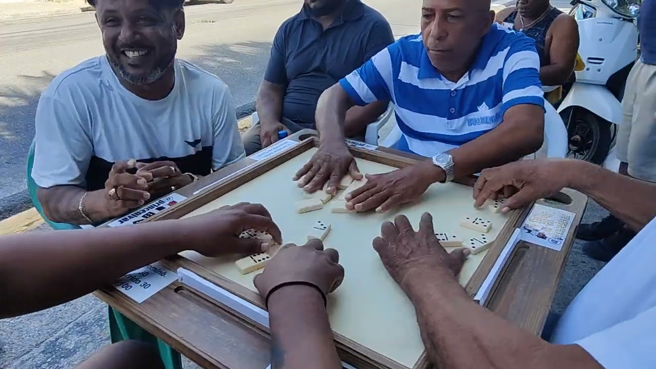 Dominó 219 princenivar y Lalu 🆚 parejas 