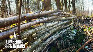 Making A Rustic Dead Hedge - Full Episode