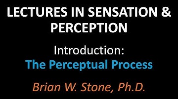 Sensation and Perception - Introduction Pt1 - The Perceptual Process