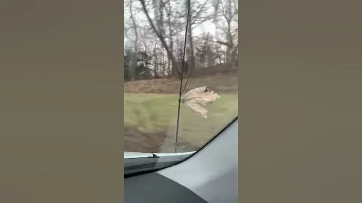 going, going, g---!