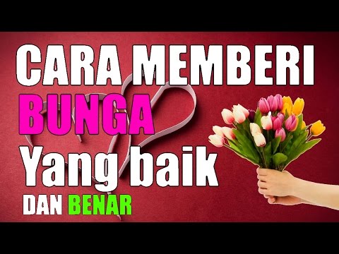 Video: Cara Terbaik Untuk Memberi Bunga