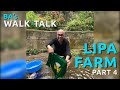 BA's Walk & Talk: Lipa Farm (Part 4) - Hanging Bridge & Tree House
