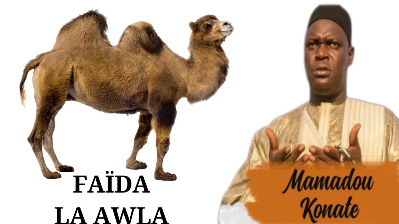 MAMADOU KONATE FAÏDA WILIBALI DE PROTECTION ET PROPERITE SUR LA HAWLA