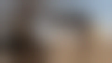 Bad Company - 2003 Invasion of Iraq (Music Video)