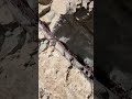 Гора это Гора, Камень это Камень а Дерево это дерево))))