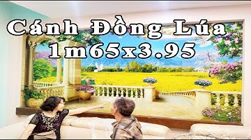 Nhật Ký Sản Xuất Tranh Kính 3D Cánh Đồng Lúa 1m65x3m95 | Tranh Kính Giá rẻ Nhất