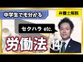 【労働14/19】セクハラ防止のために講じるべき10策！｜セクハラ、対価型、環境型、マタハラ【簡単解説】