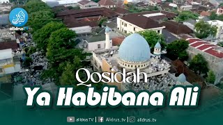 Ya Habibana Ali | Hadroh Majelis Rasulullah SAW Jatim