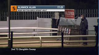BGBF BRITISH BRED SPRINT - HEAT 3 - T5 ALNWICK ALAN
