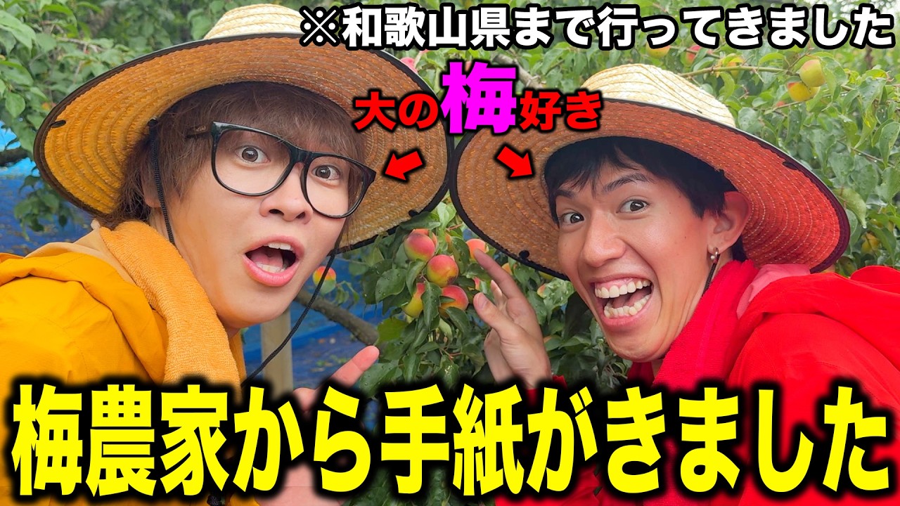感動】大好きすぎる梅を直接取りに行ったら心動かされた。 - YouTube