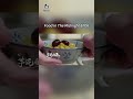 越夜越宵愁 Food in The Midnight EP06: 潮汕糖水 Chaoshan Dessert Soup