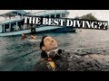 Koh Tao Island THAILAND - Scuba Diving in a STORM!!