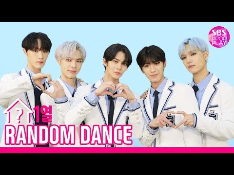 [랜덤1열댄스] RANDOM 1LINE DANCE 🖤CIX🖤 온 몸이 뿌셔져라 춤 추고 간 씨앗이들의 랜덤1열댄스!