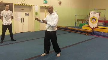 How To Move When Being Attack By A Group Of People Video 2-4 Praying Mantis Sifu Bryan Barnes