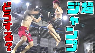 Fighting Nexus Official Channel Youtube Stats Analytics Dashboard Influenex Fighting Nexus Official Channel Youtube Stats Analytics Dashboard Influenex