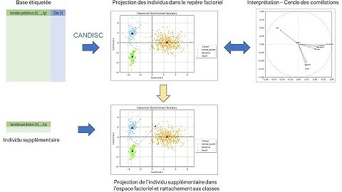 Analyse factorielle discriminante (CANDISC) avec "scientisttools" (Python)