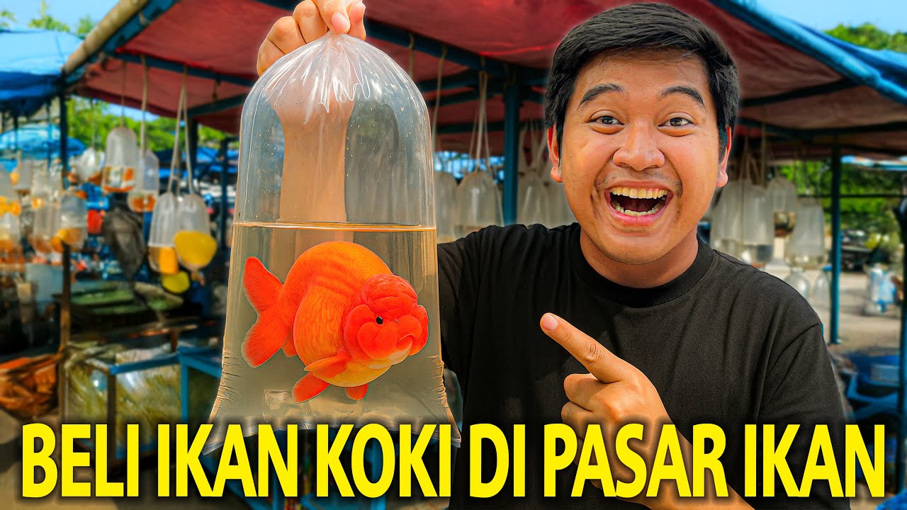 BELI IKAN KOKI IMPIAN AKU KE PASAR IKAN BANDUNG! KITA PILIH YANG PALING MAHAL DISINI!
