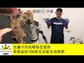 更換金旺100前叉及前叉油教學 (師傅哩咧衝啥#76)