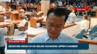 Gatchalian: Senate 'together' on issues despite political differences | ANC